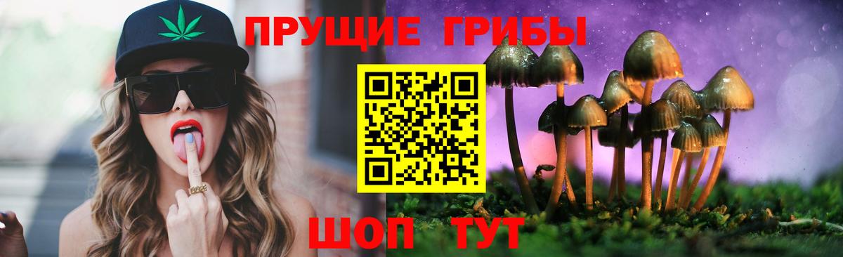 Галлюциногенные грибы Psilocybe Нижневартовск